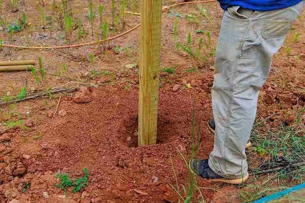 Contractor installing a new treated wood fence post into freshly dug soil as part of a fence post replacement service.