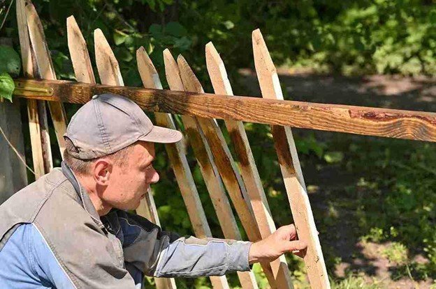 Fence contractor checking and repairing loose wooden fence boards during the repair process.