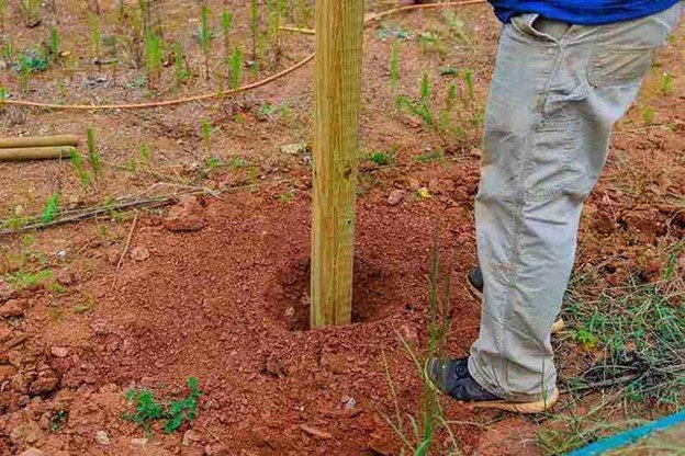 Contractor installing a new treated wood fence post into freshly dug soil as part of a fence post replacement service.