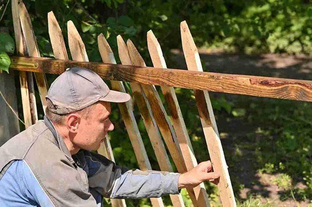 Fence contractor checking and repairing loose wooden fence boards during the repair process.